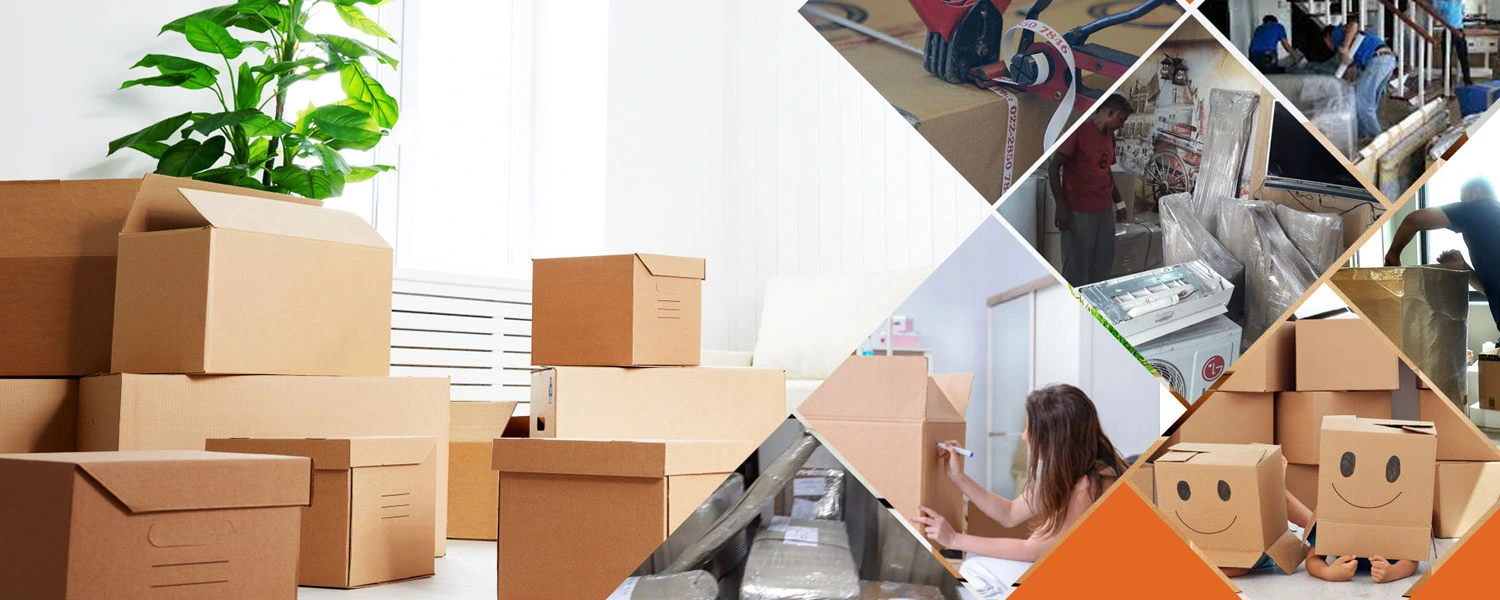 Packers and Movers in Delhi