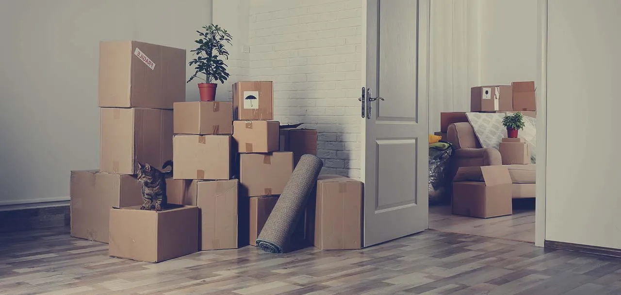 Best Packers and Movers In BTM layout
